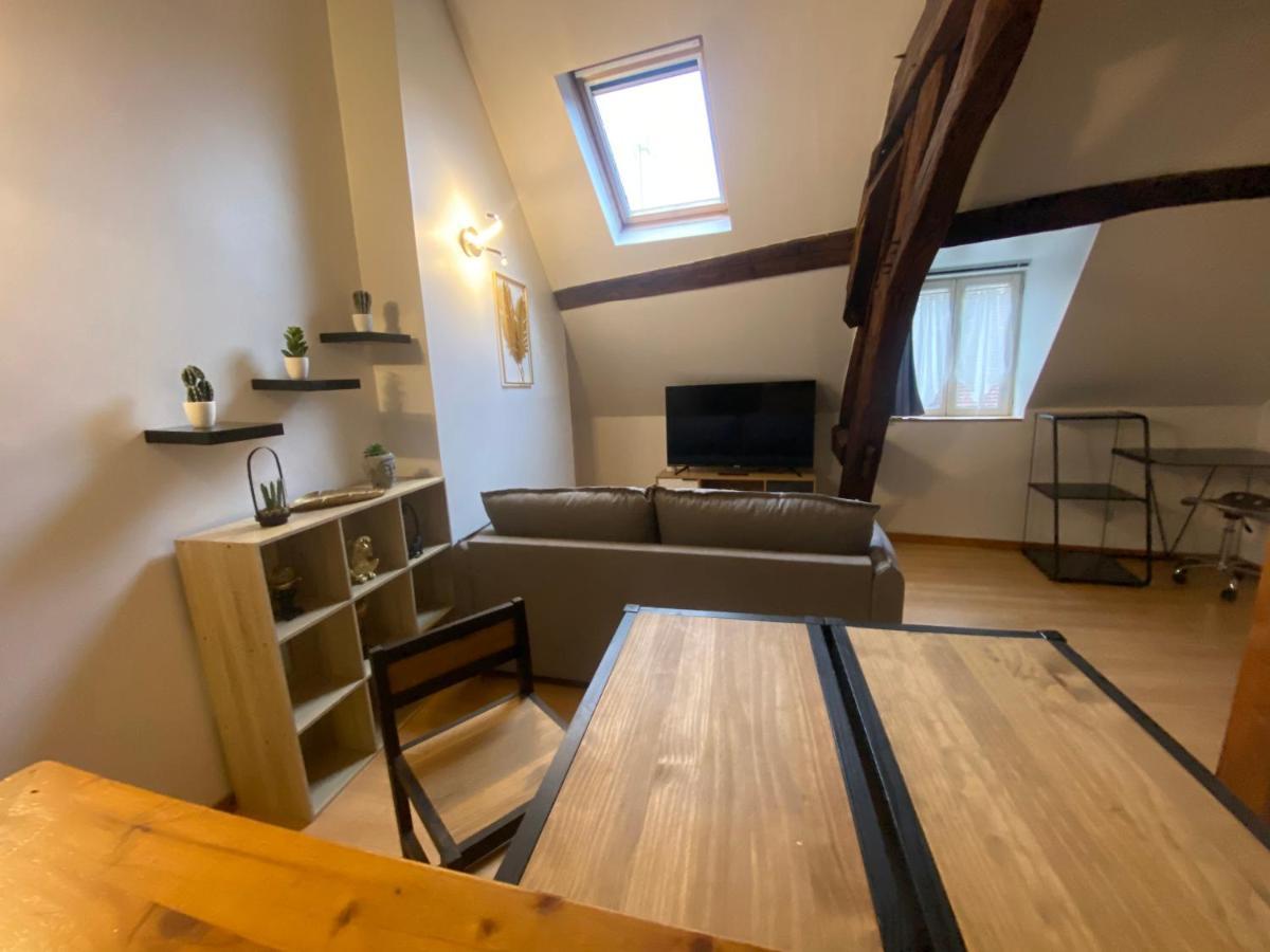 Le Puits Du Bourg Appartement Nevers Buitenkant foto