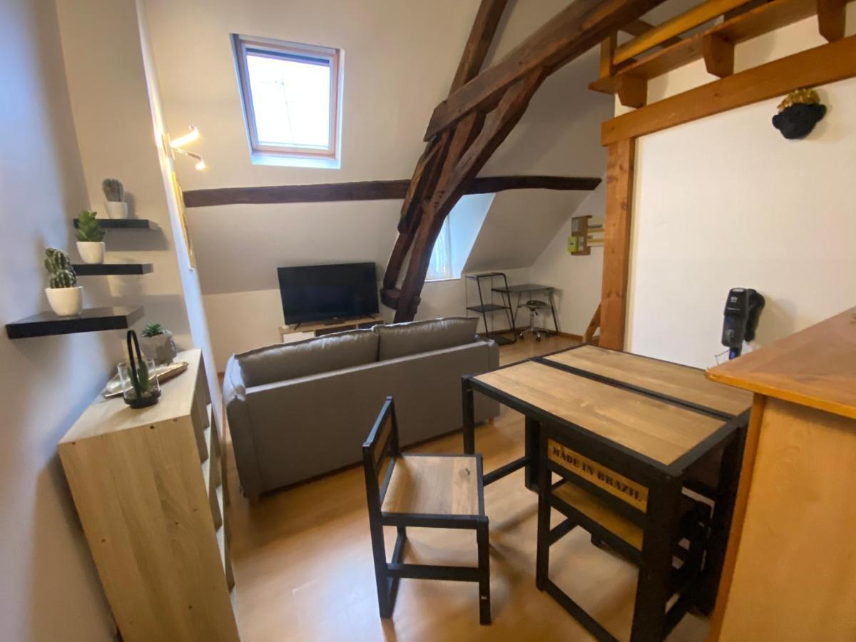 Le Puits Du Bourg Appartement Nevers Buitenkant foto