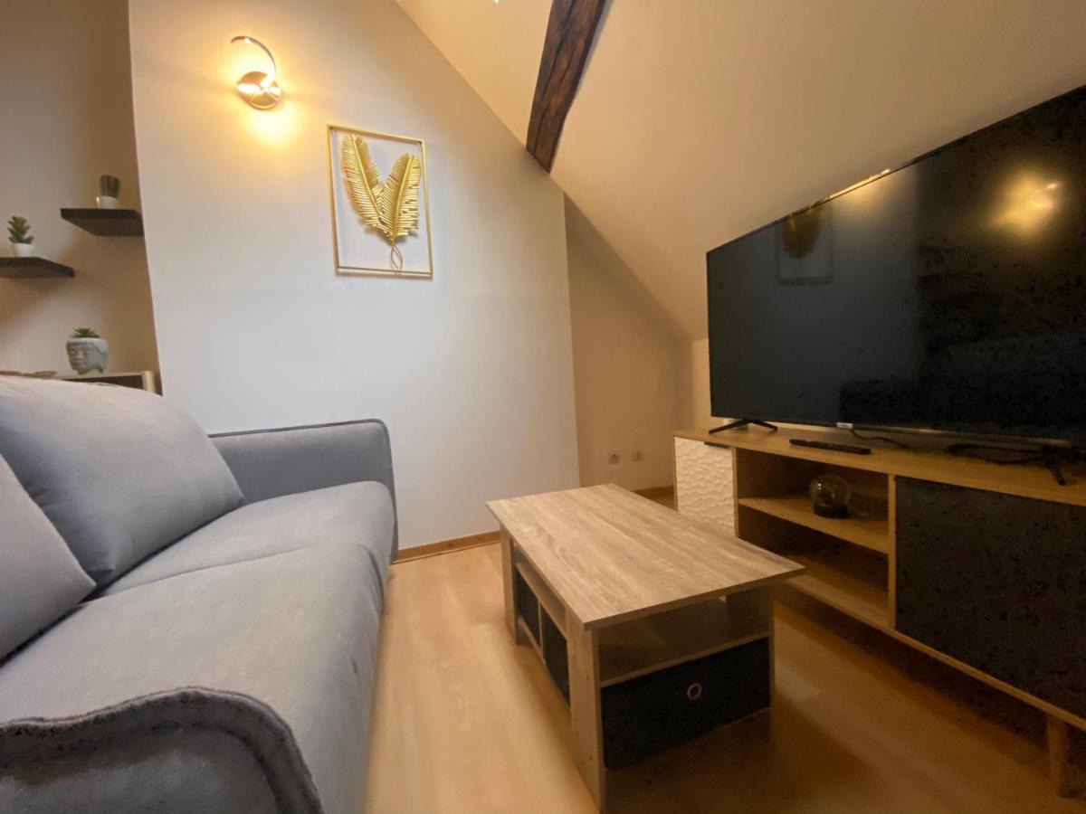 Le Puits Du Bourg Appartement Nevers Buitenkant foto