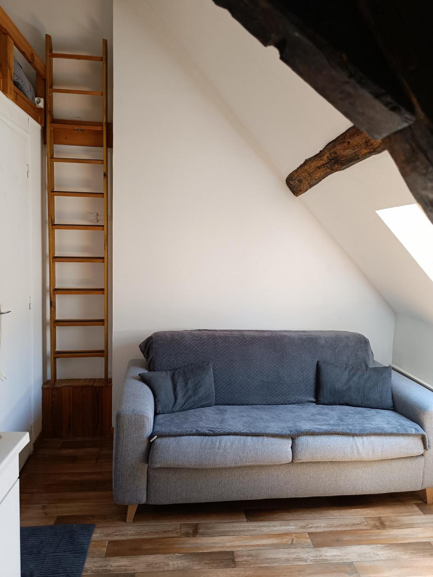 Le Puits Du Bourg Appartement Nevers Buitenkant foto